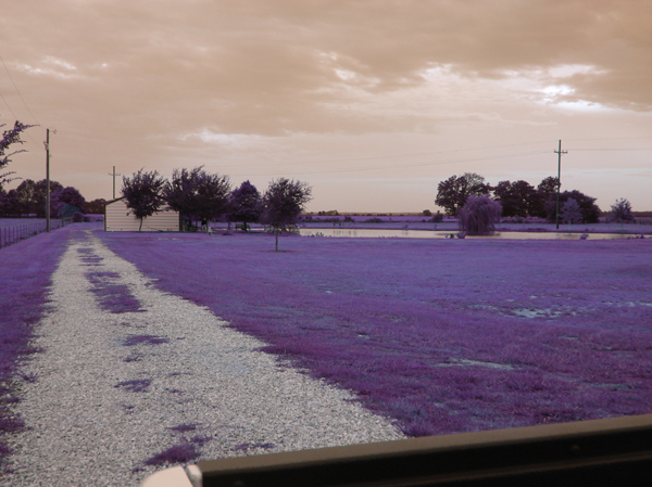 Louisiana - Home Town